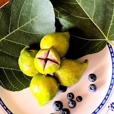 La Residenza Del Marchesato Marano Marchesato