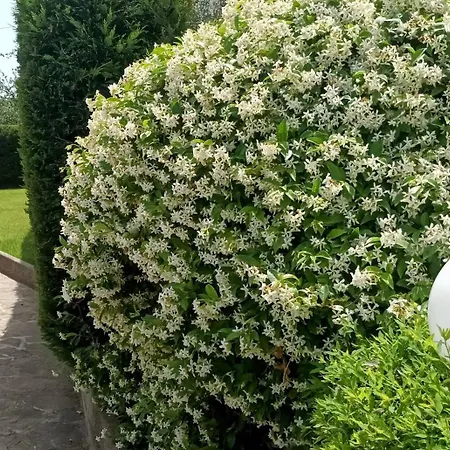 La Residenza Del Marchesato Frühstückspension 3*