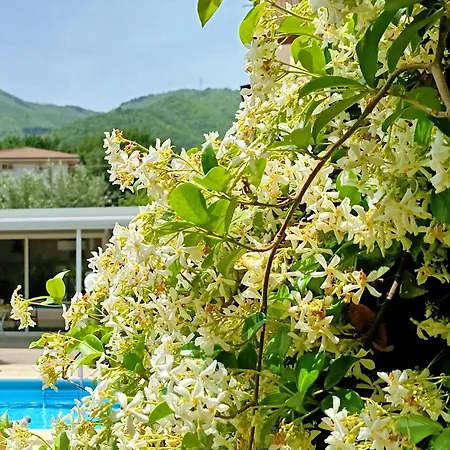 La Residenza Del Marchesato Marano Marchesato