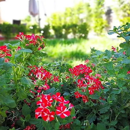 فندق مبيت وإفطار La Residenza Del Marchesato