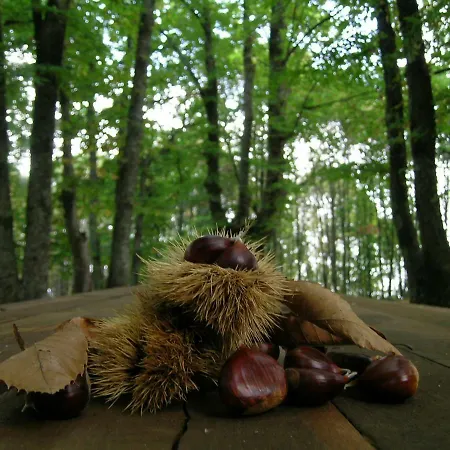 Oda ve Kahvaltı La Residenza Del Marchesato 3*