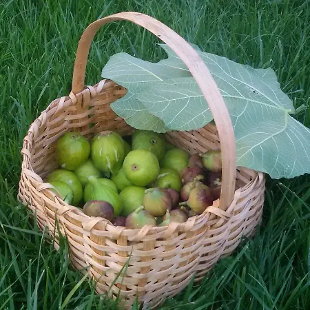 La Residenza Del Marchesato B&B