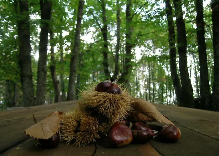 住宿加早餐酒店 La Residenza Del Marchesato 3*